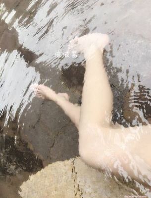 行尸走肉第13季完整版